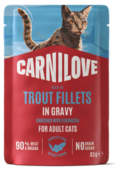 Carnilove® Paté Pouch Trout Fillets in Gravy enriched with Echinacea for Adult Cats 85gr